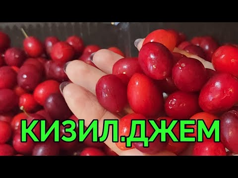 Видео: ДЖЕМ ИЗ КИЗИЛА.ОЧЕНЬ ПОЛЕЗНАЯ СЛАДОСТЬ