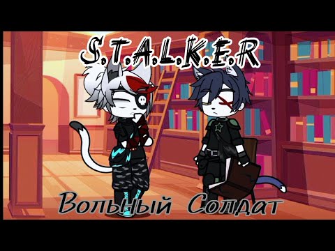 Видео: S.T.A.L.K.E.R: Вольный Солдат/Разведка бункера/Одинокий