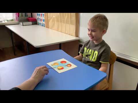 Видео: Логопедическое обследование