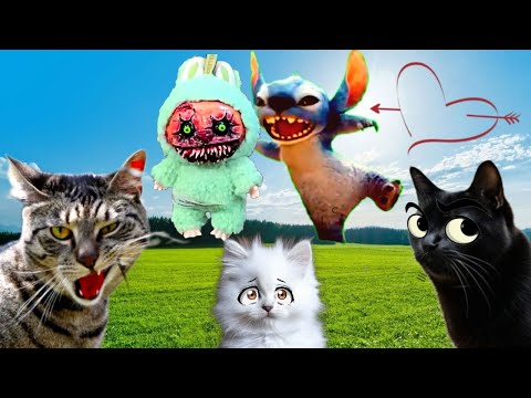 Видео: Сумасшедший СТИЧ Влюбился в ЛАБУБУ ЕХЕ! Кошки в ШОКЕ! Подряд 3 видео