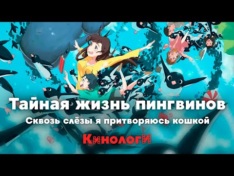 Видео: Кинологи. Тайная жизнь пингвинов притворившихся кошкой