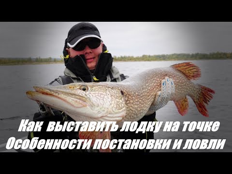 Видео: Правильная постановка лодки и облов точки.