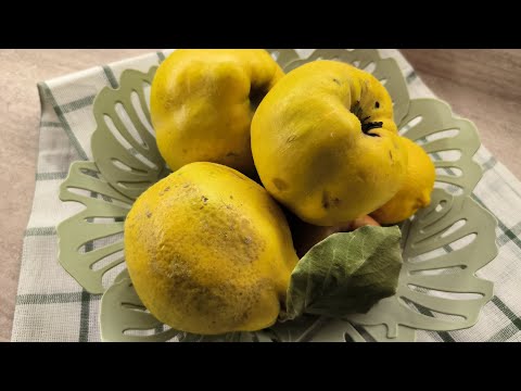 Видео: Варення з айви
