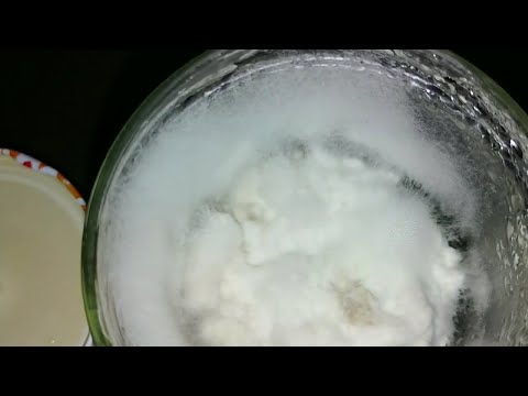 Видео: Выращивание грибного мицелия на органическом рисе из культуры мицелия в чашке Петри