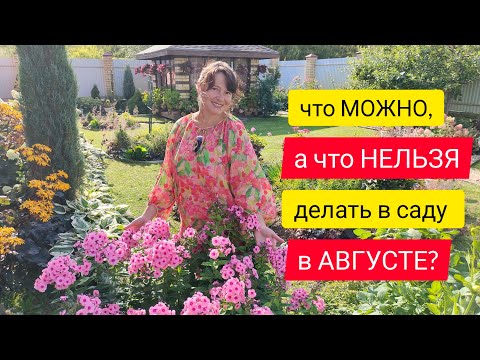 Видео: Что можно, а что уже нельзя делать в саду в августе?