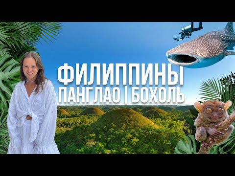 Видео: Филиппины 2025. Бохоль и Панглао. Оно вам надо? Китовые акулы, долгопяты и шоколадные холмы.