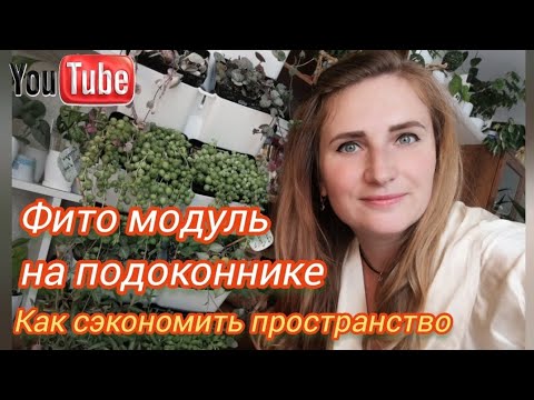 Видео: Собираем ФИТО МОДУЛЬ на подоконника.  ЭКОНОМИМ пространство, ПЕРЕСАЖИВАЕМ ампельные растения.