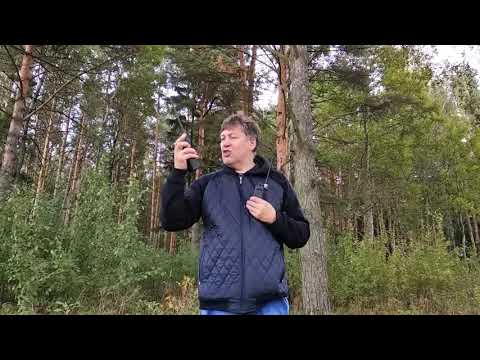 Видео: Тест работы в лесу cb раций Alan 42, Штурман-80М и Штурман-882М