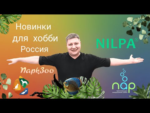 Видео: Аква Меню новинки (паркзоо)