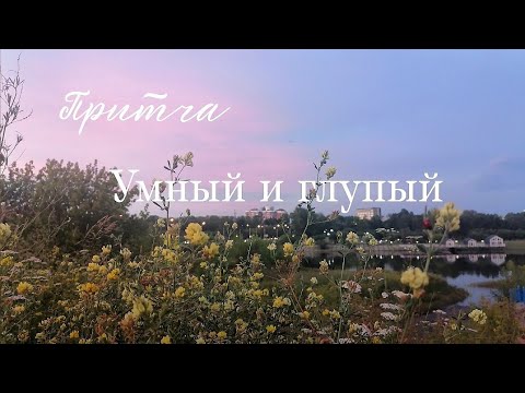 Видео: Притча: отличие умного от глупца