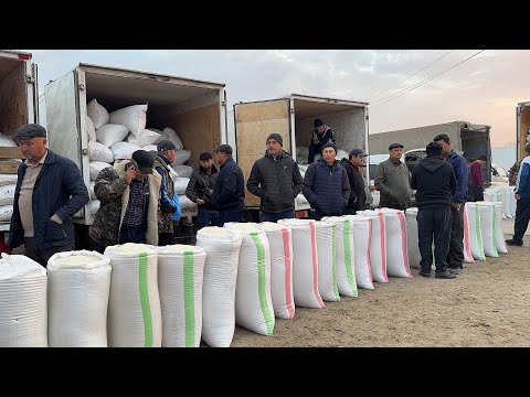 Видео: ХОРАЗМ ОПТОМ ГУРУЧ БОЗОРИ 9-НОЯБР ЯНГИ НАРХЛАР ЭРТАЛАБГИ САВДОЛАР !!! ХОРАЗМ БОЗОР