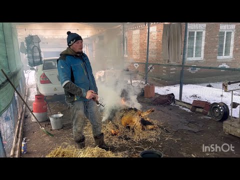 Видео: Скільки я заробив на купівлі свині живою вагою, та перепродажі м’ясом⁉️Бізнес бариги‼️