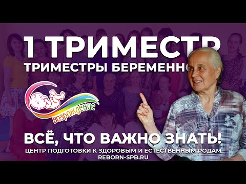 Видео: ТРИМЕСТРЫ БЕРЕМЕННОСТИ: 1 триместр. Всё, что важно знать беременным