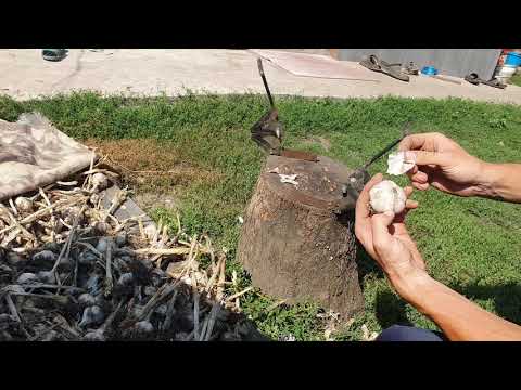 Видео: МИНИ СТАНКИ ДЛЯ ОБРЕЗКИ ЧЕСНОКА