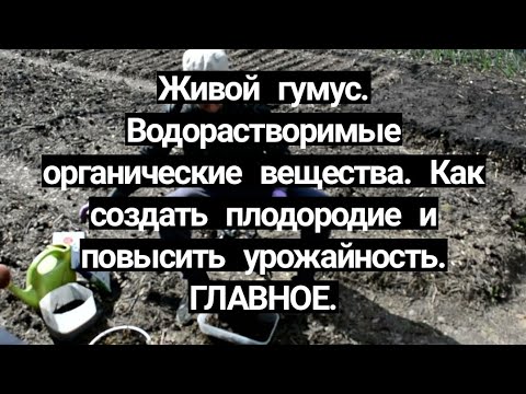 Видео: От чего зависит урожай плодородие почвы. Органические удобрение ГЛАВНОЕ что?