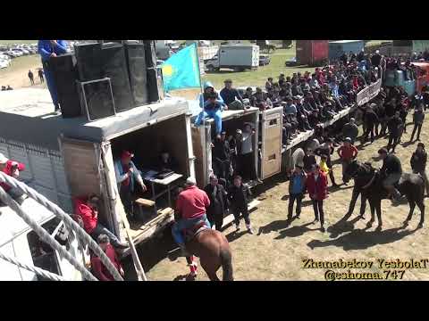 Видео: Тулкыбас ауданы ат устындегы азаматтары берген Кокпар 2022жыл