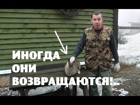 Видео: Иногда ОНИ ВОЗВРАЩАЮТСЯ!..