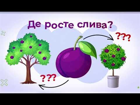 Видео: Дидактична гра "Що де росте?"