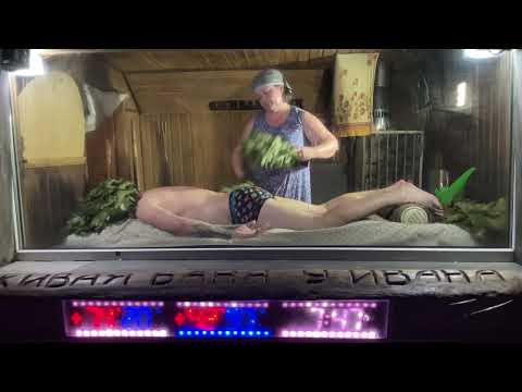 Видео: Луговых Светлана Полевской, Свердловской обл. Домашний Банщик. Зачёт. // Академия Банного Дела