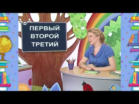 Видео: Школа Шикиного Леса. Русский язык. Имя числительное