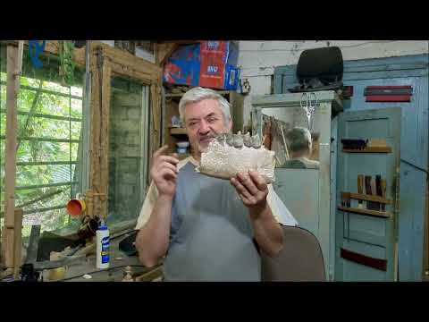 Видео: Чудовище Черного моря