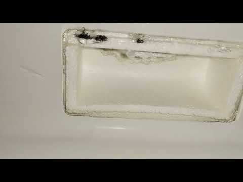 Видео: Холодильник Самсунг  no Frost течет вода в холодильную камеру. Такая поломка первый раз в практике.