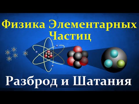 Видео: Рубаков В., Казаков Д. Полный Разброд и Шатания в Теоретических Умах. Video ReMastered.