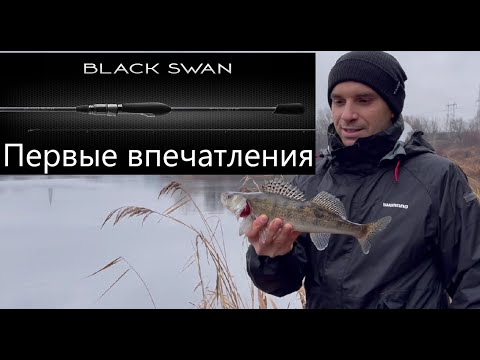 Видео: Спиннинг фаворит черный лебедь .Favorite Black Swan BSW1-6102SUL-HS 2.08м 0.8-4г