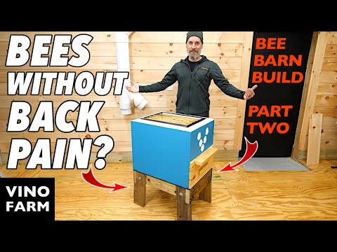Видео: Это изменило мое пчеловодство (Серия «Строительство пчелиного сарая» — Часть вторая)