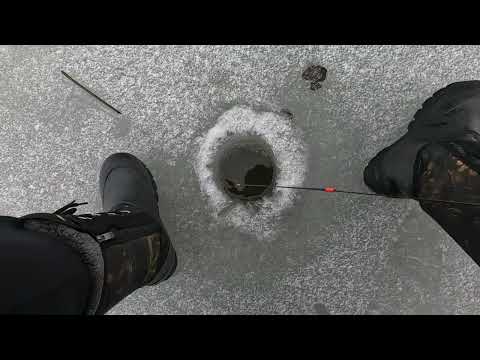 Видео: Рыбалка в зимний период! 24-25