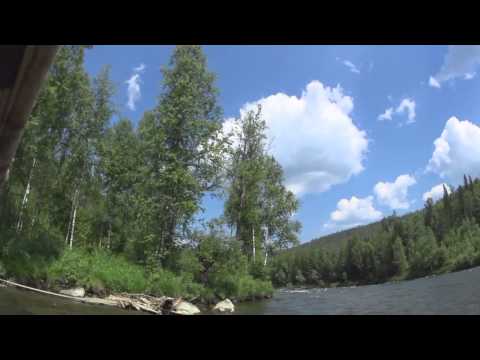 Видео: Сплав по Мане