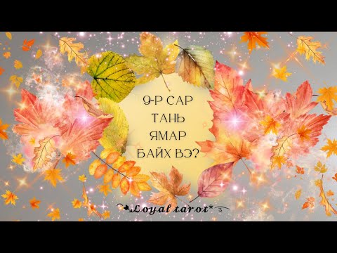 Видео: 🍂🪾9-р сарын төлөв 🪾🍂 Ажил карьер, хайр дурлал, хувь хүн 🌻 /Нэмэлттэй/