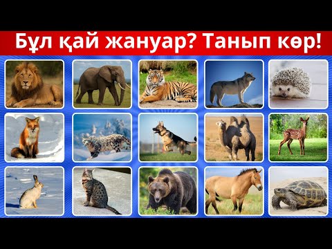 Видео: Жануарлар туралы біліміңді сына! 🎯 8 секундта жауап бер!