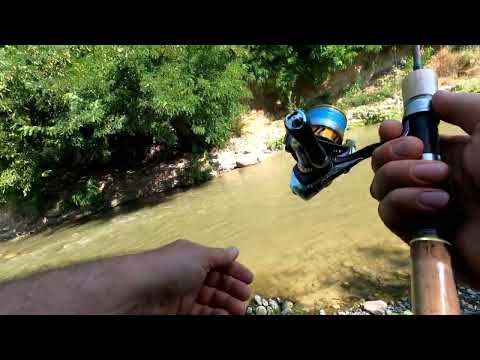 Видео: Рыбалка на малой реке в Ингушетии.  Голавль Усач , фрикцион горит от поклёвок .