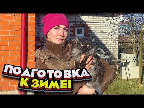 Видео: Трудимся в ДЕРЕВНЕ. Кого купили и кого продали?! Новости КФХ | Молодая Ферма