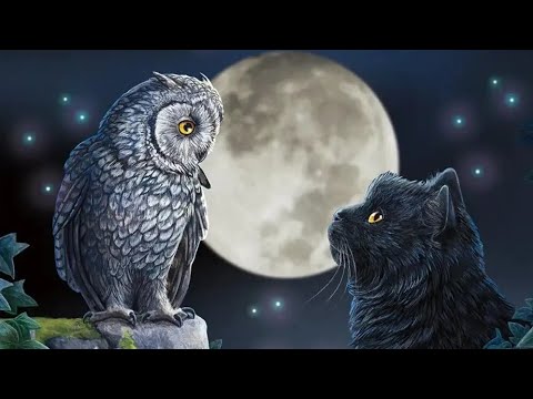 Видео: 💯‼️ИТОГИ СУПЕРЛУНИЯ ДЛЯ ВАС⁉️ДЛЯ ВАШЕГО ВРАГА⁉️