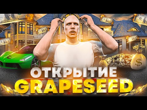 Видео: ЗАДОНАТИЛ НА ОТКРЫТИЕ НОВОГО СЕРВЕРА GTA 5 RP GRAPESEED И ПОЙМАЛ ДОМ