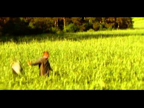 Видео: Нестандартный Вариант - Зелёный Луг