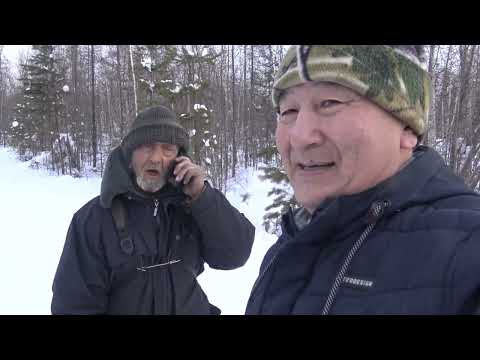 Видео: Отшельник Коля. Нашлись родственники.