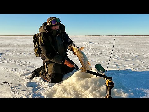 Видео: ШИКАРНО ПОРЫБАЧИЛИ С ОТЦОМ + ИИНФОРМАЦИЯ ПО СНЕГОХОДУ