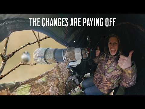 Видео: Улучшения в саду дикой природы — они работают! // обновление сада