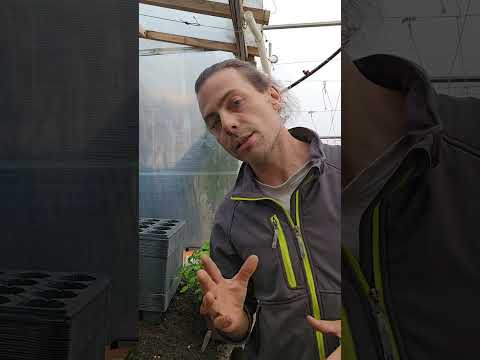 Видео: Парници, правилно проветрение и други полезни съвети.