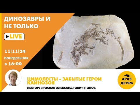 Видео: Занятие "Цимолесты — забытые герои кайнозоя" кружка "Динозавры и не только" с Ярославом Поповым