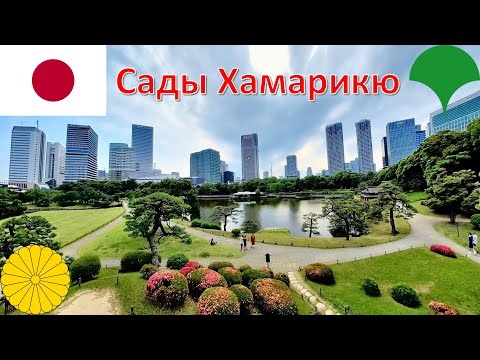 Видео: Сады Хамарикю (Токио - Япония) / 浜離宮恩賜庭園 (東京都 - 日本) / Hama-rikyū Gardens (Tokyo - Japan)
