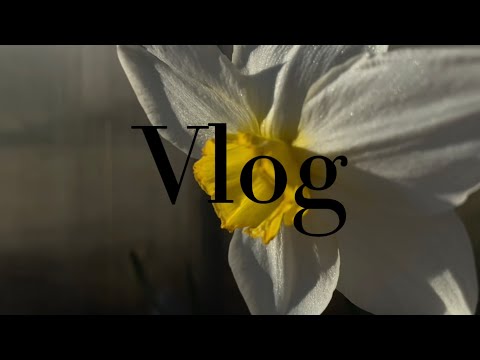 Видео: Vlog №3. Весна. Первые работы на новой даче.