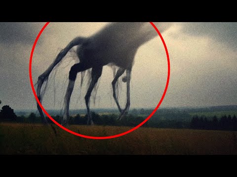 Видео: Что если уровень кислорода на Земле поднимется до 50%