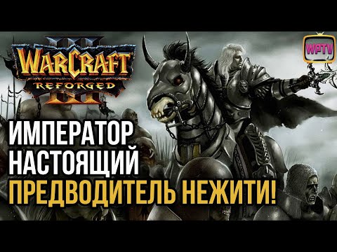 Видео: ИМПЕРАТОР НАСТОЯЩИЙ ПРЕДВОДИТЕЛЬ НЕЖИТИ: Warcraft 3 Reforged