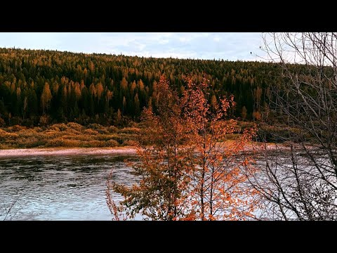 Видео: Новости Байкальского региона (09.09.2025)