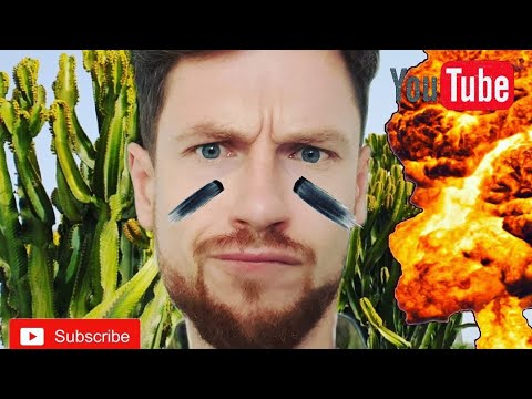 Видео: Спасти рядового Молочая (Эуфорбия Канделябра).