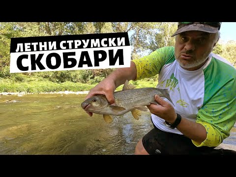 Видео: Летни СКОБАРИ и МРЕНИ в бързаците - 1 част